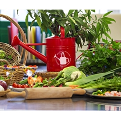 Solid Masterclass: Top Tips to Master Cooking