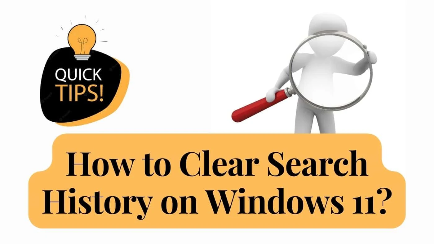 How to clear Search History on Windows 11?