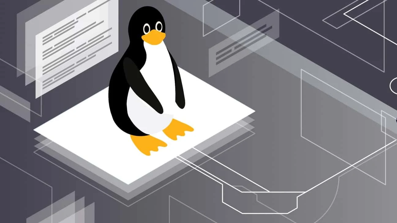 What is the difference between a thin client and a LTSP (Linux Terminal Server Project) server?