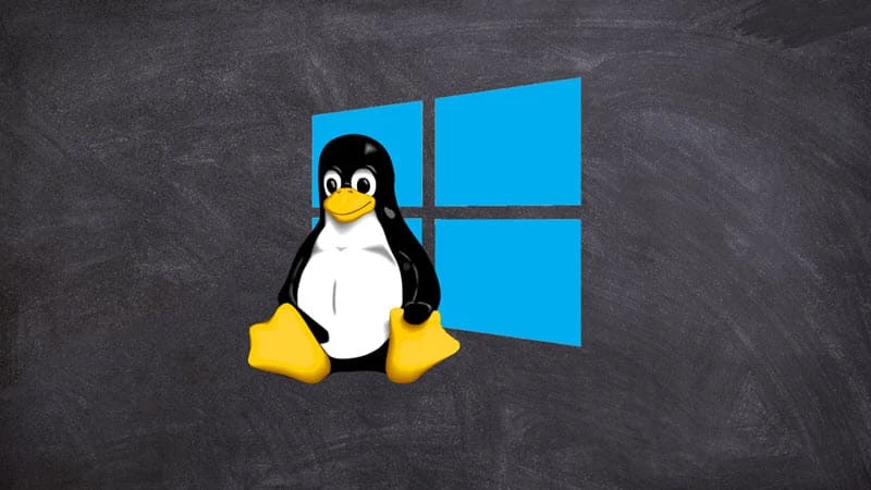 Windows Subsystem for Linux (WSL)